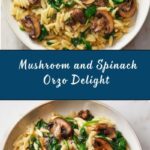 Mushroom and Spinach Orzo Recipe