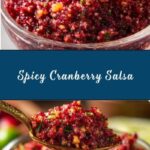 Spicy Cranberry Salsa Recipe