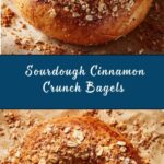 Sourdough Cinnamon Crunch Bagels Recipe