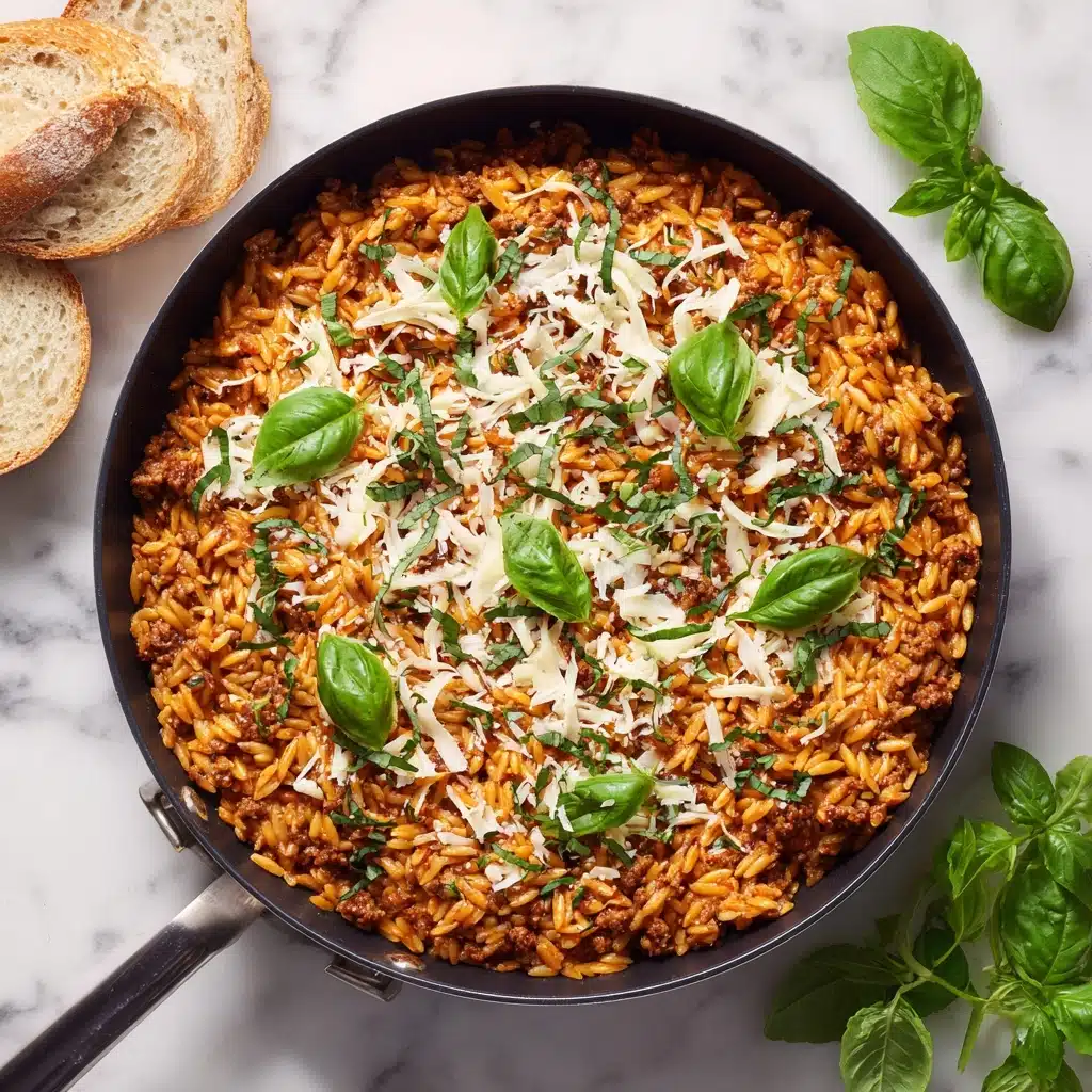 Ground Beef and Orzo Recipe