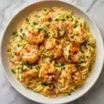 Instant Pot Tomato and Shrimp Orzo Recipe
