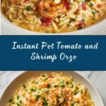 Instant Pot Tomato and Shrimp Orzo Recipe