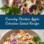Chicken Apple Coleslaw Recipe