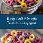 Baby Trail Mix with Cheerios and Yogurt Melts Recipe