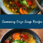 Summery Orzo Soup Recipe
