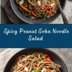 Spicy Peanut Soba Noodle Salad Recipe