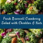Broccoli Cranberry Salad Recipe