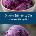 Blueberry Ice Cream Recipe