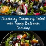 Cranberry Blueberry Salad with Blueberry Balsamic Dressing Recipe