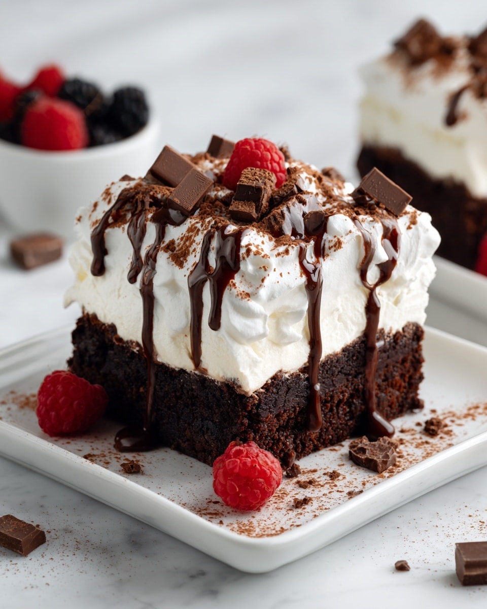 One-Minute Protein Brownie Recipe - Recipe Image